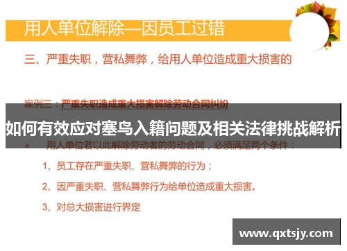 如何有效应对塞鸟入籍问题及相关法律挑战解析